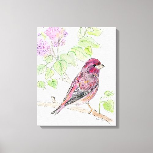 New Hampshire State Bird and Flower Canvas Print