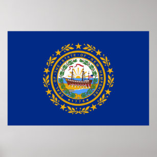 New Hampshire State Flag Poster