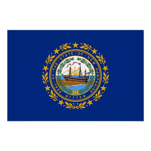 New Hampshire State Flag Poster