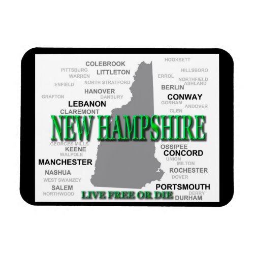 New Hampshire State Magnet