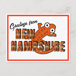 New Hampshire State Symbol Red Spotted Newt Orange Postcard