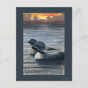 New HampshireCommon Loon Postcard