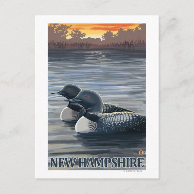 New HampshireCommon Loon Postcard (Front)