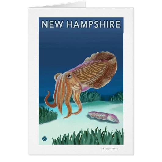 New HampshireCuttlefish Scene Cards (Front)