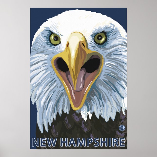 New HampshireEagle Up Close Poster (Front)