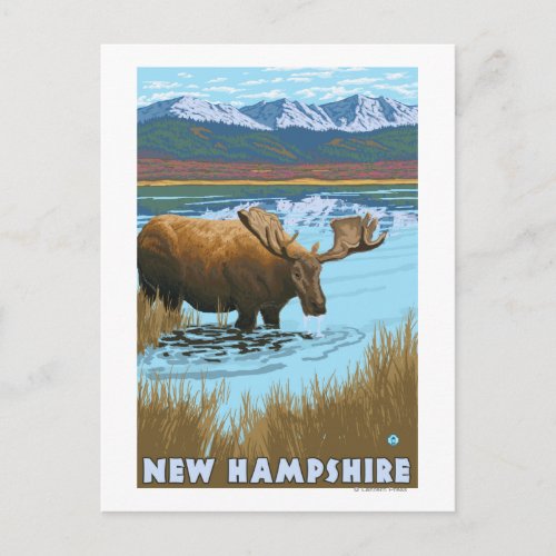 New HampshireMoose Drinking in Lake Postcard