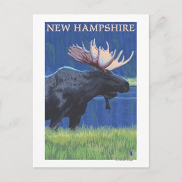 New HampshireMoose in the Moonlight Postcard