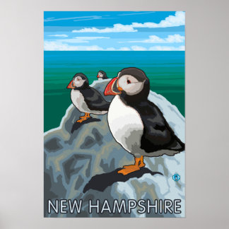 New HampshirePuffins Scene Poster