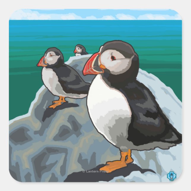 New HampshirePuffins Scene Square Sticker (Front)