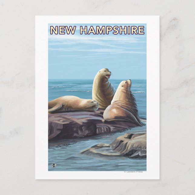 New HampshireSea Lions Scene Postcard (Front)