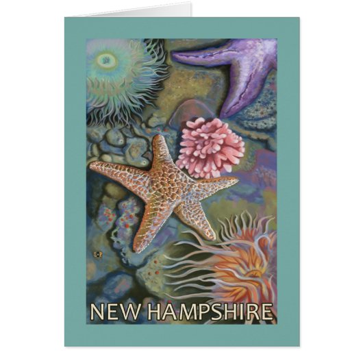 New HampshireTidepool Scene Cards (Front)