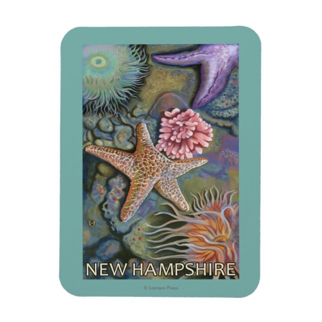 New HampshireTidepool Scene Magnet (Vertical)