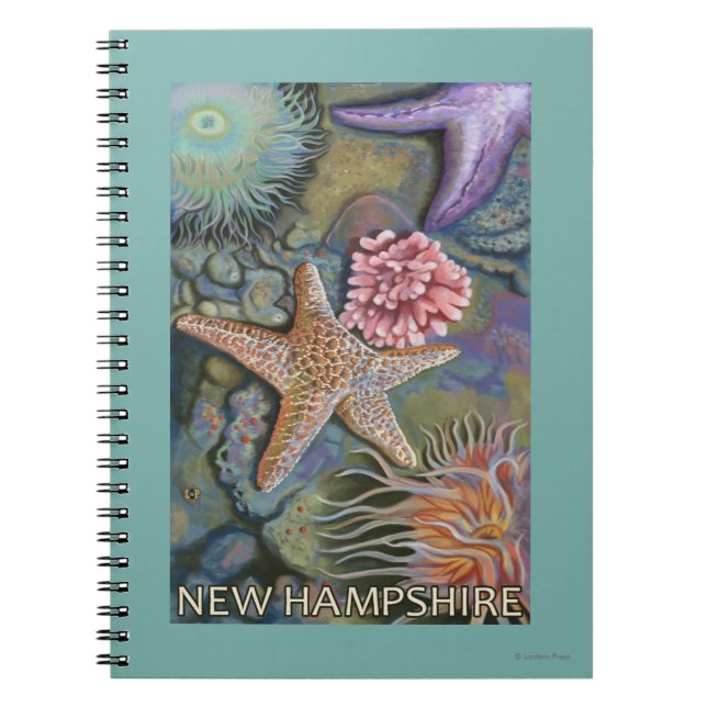 New HampshireTidepool Scene Notebook (Front)
