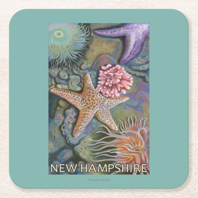 New HampshireTidepool Scene Square Paper Coaster (Front)