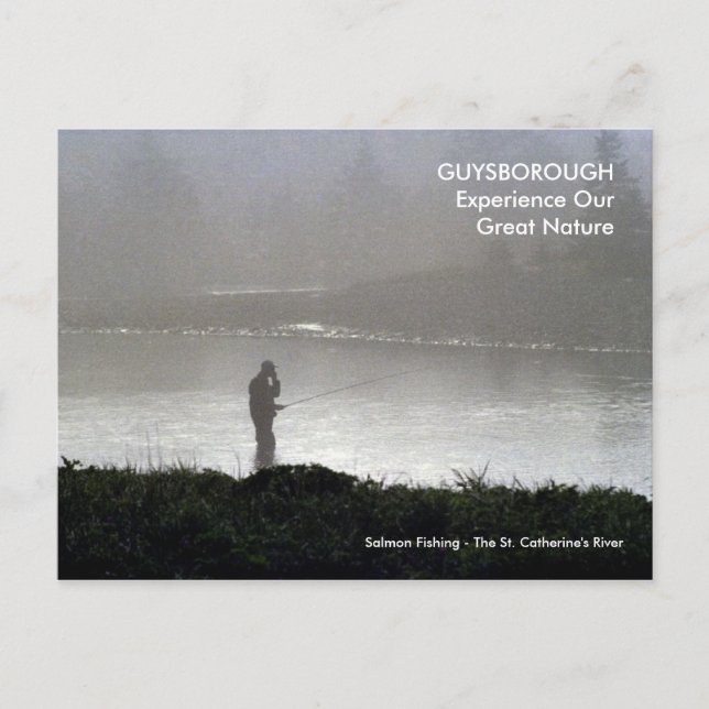 New Harbour, NS - Salmon Fishing, Early Morning Postcard (Front)