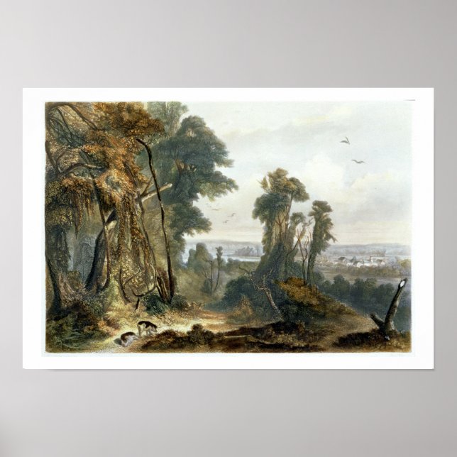 New Harmony on the Wabash, plate 2 from Volume 2 o Poster (Front)