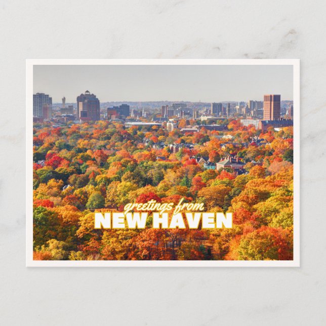 New Haven Connecticut Fall Foliage Greeting Postcard (Front)