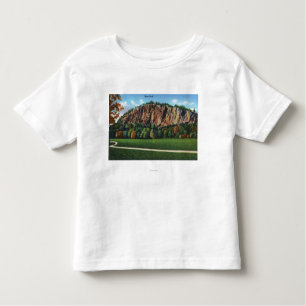 New Haven, CTView of West Rock Toddler T-shirt
