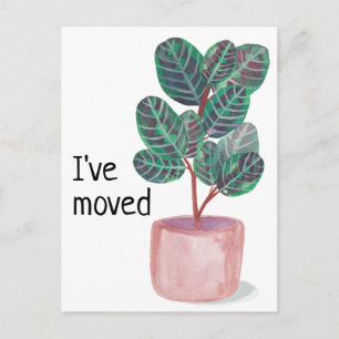 New Home Address Calathea Prayer Plant Watercolor Postcard