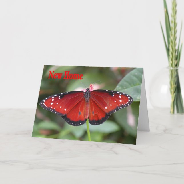 New Home Address Card with Queen Butterfly (Front)