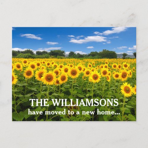 New Home Address Change Beautiful Sunflowers Photo Postcard