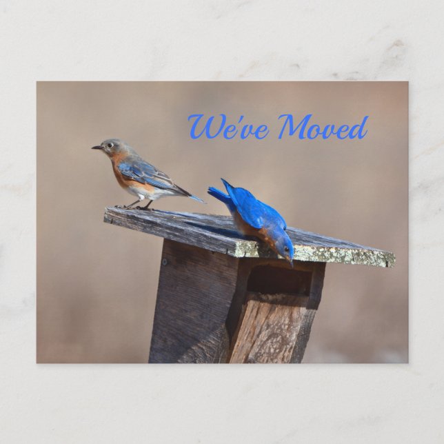 New Home Announcement Postcard (Front)