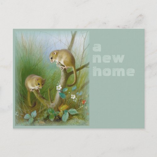 New home CC0112 Archibald Thorburn Dormice Announcement Postcard