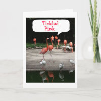 **NEW HOME" FLAMINGOS ARE "TICKLED PINK"