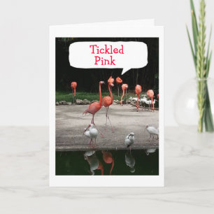 **NEW HOME" FLAMINGOS ARE "TICKLED PINK" CARD