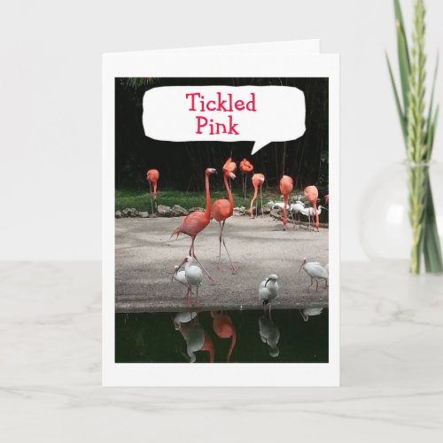 NEW HOME FLAMINGOS ARE TICKLED PINK CARD