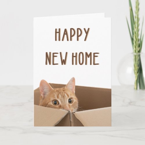 New Home Funny cat house Housewarming  Card