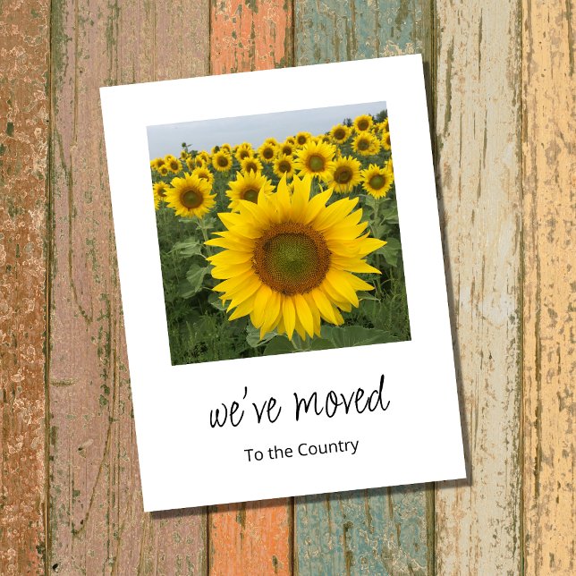 New Home Rustic Sunflowers Moving   Announcement Postcard (Creator Uploaded)