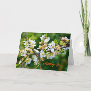 New Home - Sun-Dappled Spring Hawthorn Announcement