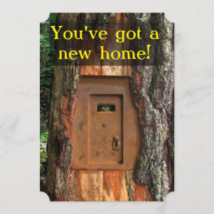 NEW HOME TROLL DOOR ANNOUNCEMENT