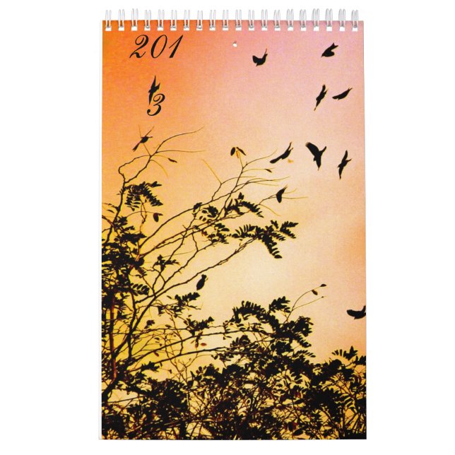 new hopes calendar (Cover)