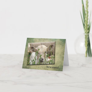 New House Announcement