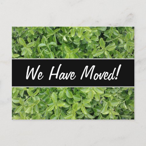 New House Green Hedge Shrub Type Plant Photograph Announcement Postcard