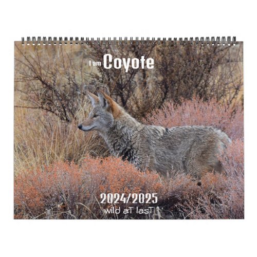 New I am Coyote 20242025 calendar