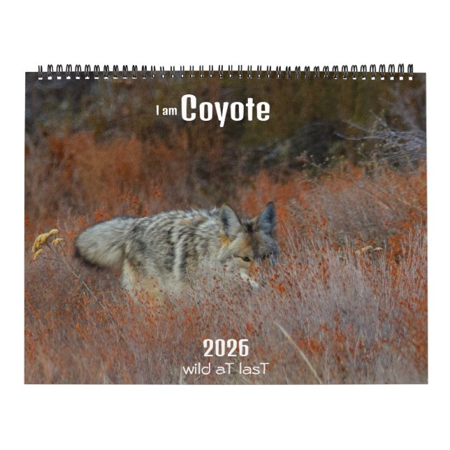 New! 'I am Coyote' 2026 calendar (Cover)