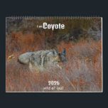 New! 'I am Coyote' 2026 calendar<br><div class="desc">'I am Coyote' Calendar 2026 , 'Wild at Last' photography by Tanja Thomas</div>