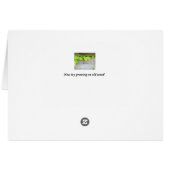 New ivy, old wood (Back Horizontal)