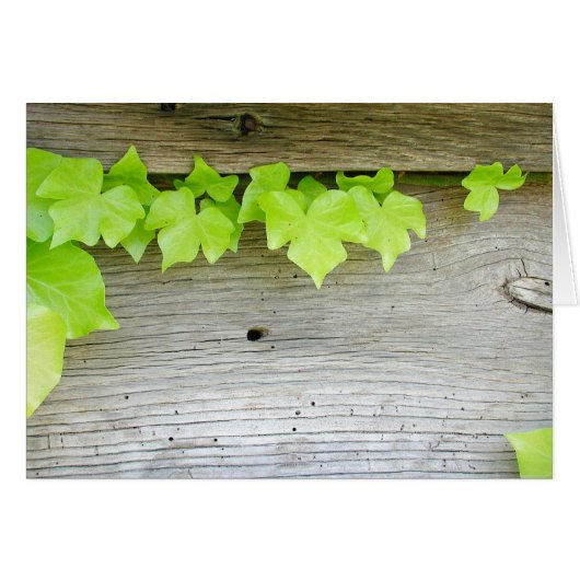 New ivy, old wood cards (Front Horizontal)