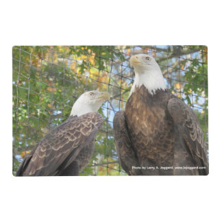 New Jersey Eagles Placemat