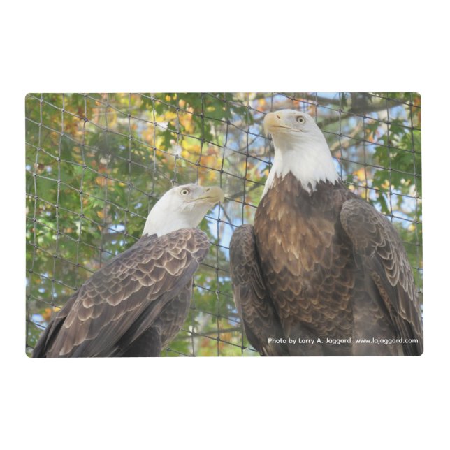 New Jersey Eagles Placemat (Front)