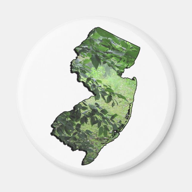 New Jersey Forest State Outline Magnet (Front)