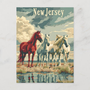 New Jersey Horses Postcard