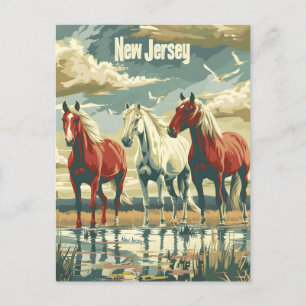 New Jersey Horses Postcard