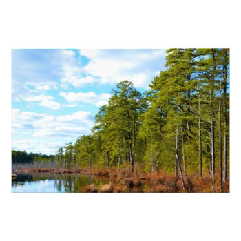 New Jersey Pinelands Photo Print by Sightseeing_The_USA at Zazzle