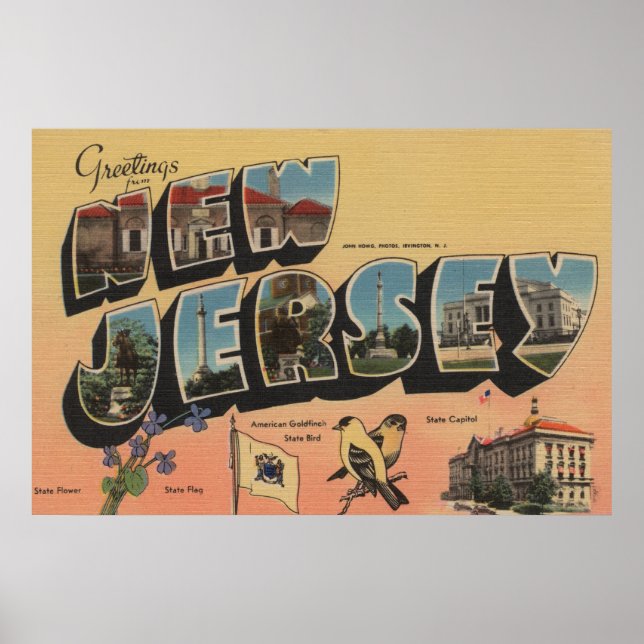 New Jersey (State Capital/Flower/Bird) Poster (Front)