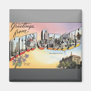 New Jersey State Capital In Teenion, Vintage Magnet